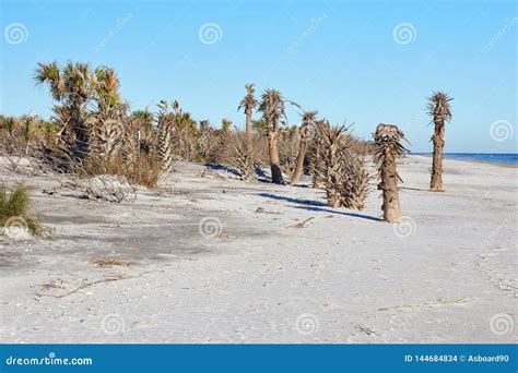 Beach at Little Talbot Island State Park, Florida Stock Photo - Image ...