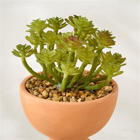 Buy Gloria Elsa Artificial Succulent in Ceramic Pot from Home Centre at ...