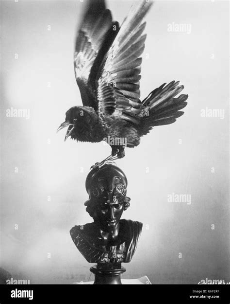 THE RAVEN USA 1963 Roger Corman The Raven Regie: Roger Corman Stock ...