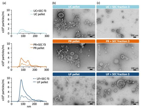 Size-Exclusion Chromatography Separation Reveals That Vesicular and Non ...