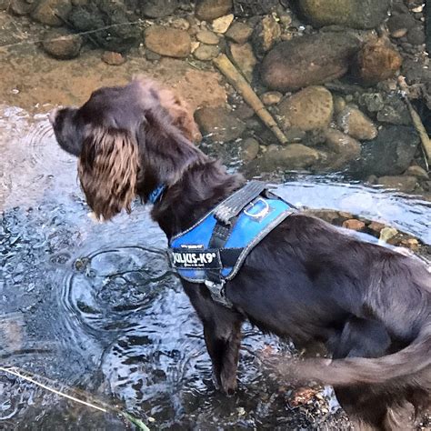 HAUNCH BROOK PATHWAYS (2026) All You Need to Know BEFORE You Go (with ...