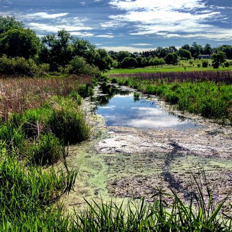 A4bats: Before and After - Baker Park Reserve