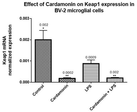 Antioxidant and Anti-Inflammatory Mechanisms of Cardamonin through Nrf2 ...