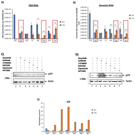 Extracellular Vesicle Activation of Latent HIV-1 Is Driven by EV ...