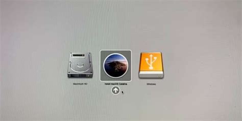 Mac Recovery Partition 的图像结果