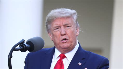 Donald Trump’s No-Makeup Appearance has Everyone Shocked – True News Media