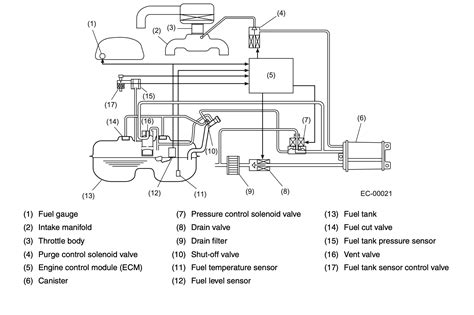 Subaru Evap System Diagram at Adolph Grier blog