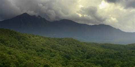 Why the Western Ghats Keep Conservationists at Loggerheads With ...
