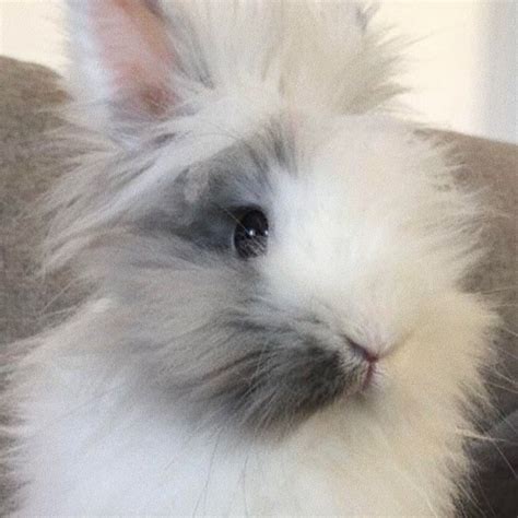 Image result for Merge Strings Alternately Java