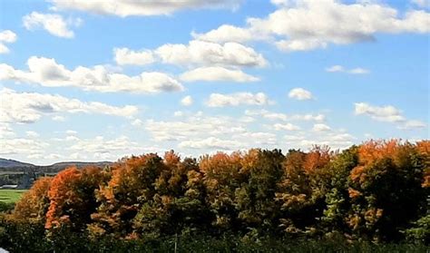 Fromagerie La Station (Compton) - All You Need to Know BEFORE You Go