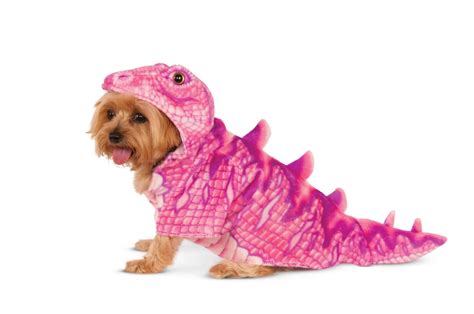 Dino Pet Costume Dog Dinosaur Costume: The 7 Best Options For