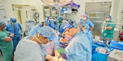 US Researchers Transplant Modified Pig Hearts to Brain Dead Recipients