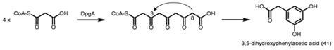 Exploiting the Biosynthetic Potential of Type III Polyketide Synthases