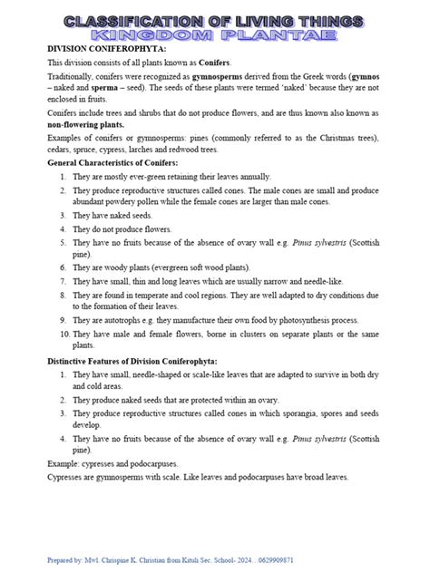 Classification Form 3 的图像结果