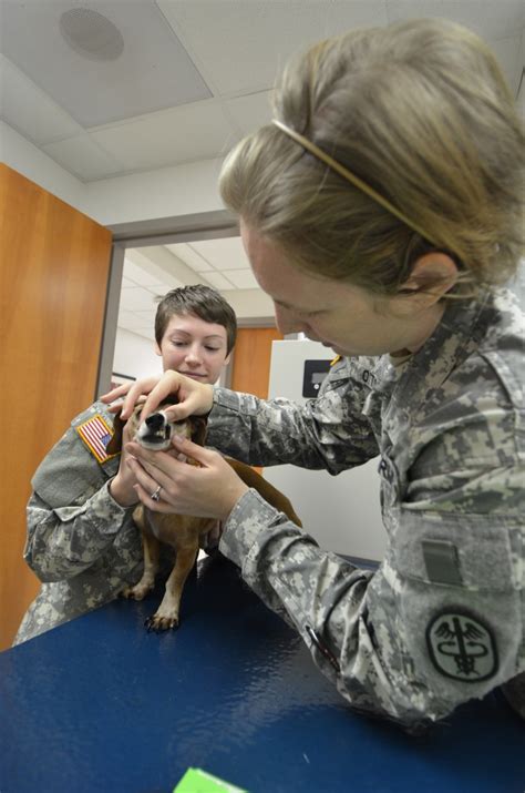 Vet services extend beyond pets | Article | The United States Army