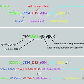 Metadata Simple Example 的图像结果