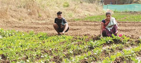 KMCT Program - Initiatives