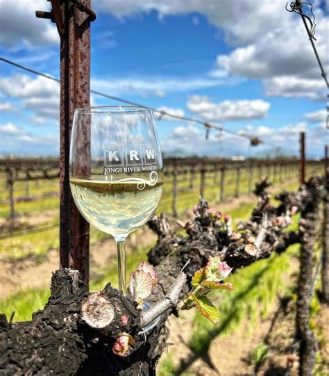 A Wine Lover’s Perspective on Kings River Winery in Sanger