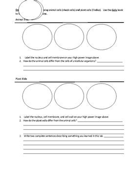 Image result for Microscope Mania Answer Key Decoder Wheel