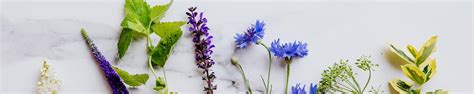 Amazon.in: Herbal Mitra: Hair Powders