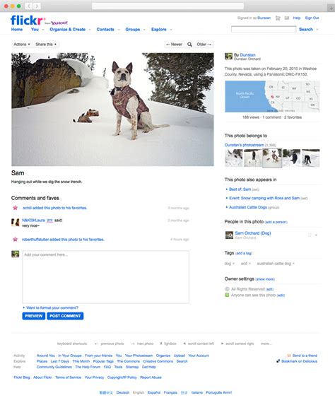 What Is Flickr 的图像结果
