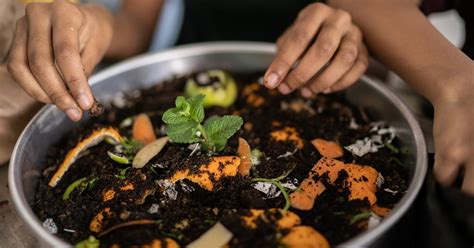 Eating Organically Grown Food 的图像结果