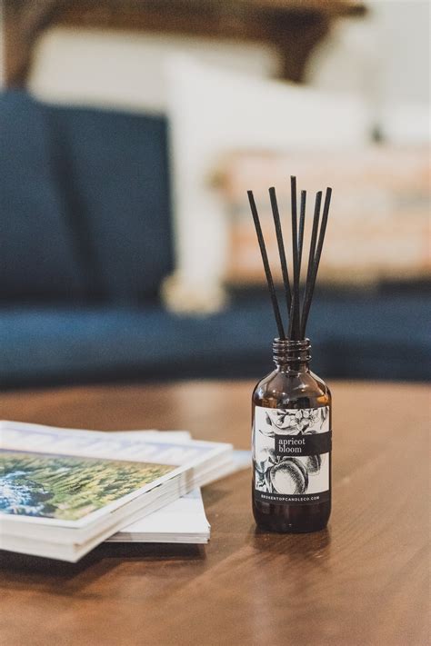 Cardamom Vanilla Reed Diffuser - Broken Top Brands