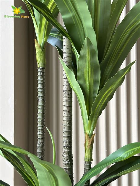 Premium Artificial Dracaena Plant – 1.4 m, Three-Stem Design – Blooming ...