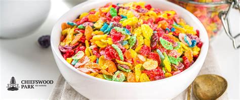 Saturday Cereal & Cartoons, 1037 Brant County Highway 54, Caledonia, ON ...