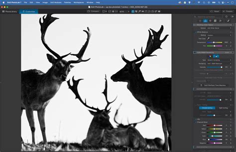 Image result for Do Photo Lab Elite Tutorials