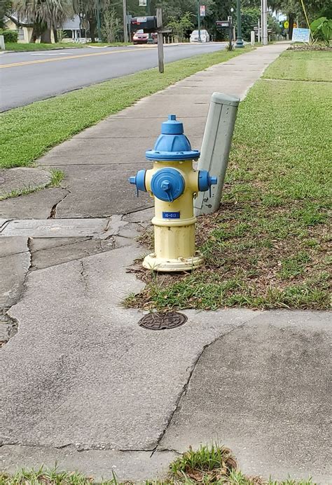 fire hydrant color code florida - Moshe Monroe