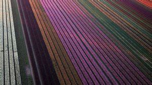 Business in Community Examples 的图像结果