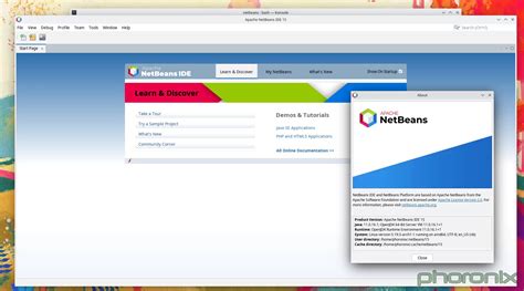 Image result for Apache NetBeans Java