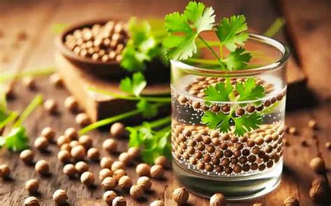 Coriander Seeds Soaked Water | ధ‌నియాల‌ను నాన‌బెట్టిన నీళ్ల‌ను రోజూ ప‌ర ...