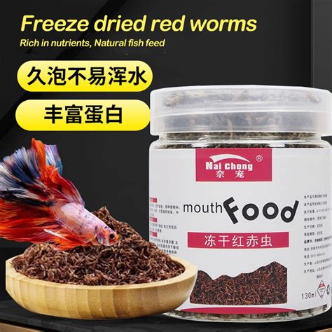 Natural Fish Feed - Frozen Red Vermilion 天然鱼饲料 -冻干红赤虫 nutritious water, earthworms, red worms ...