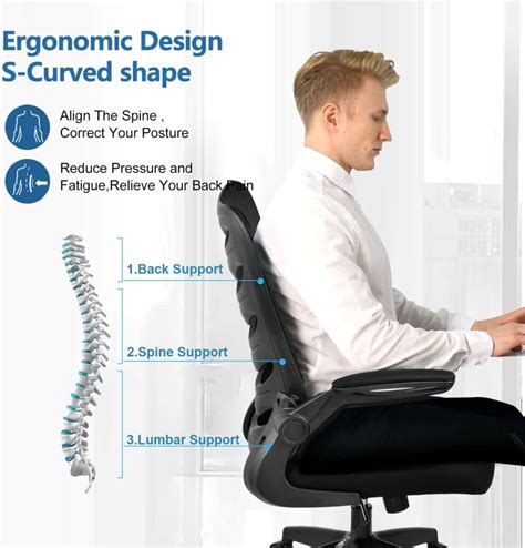Image result for Best Computer Chair for Bad Back