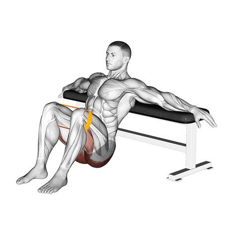 Banded Hip Thrust: Benefits, Muscles Worked, and More - Inspire US