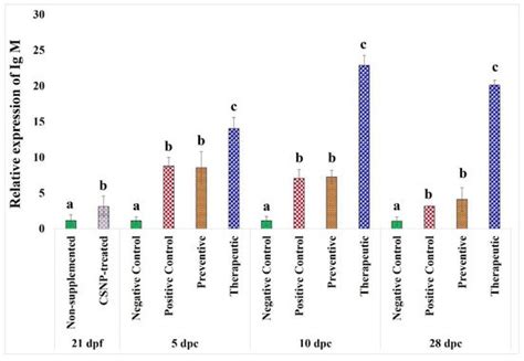 Therapeutic Intervention with Dietary Chitosan Nanoparticles Alleviates ...