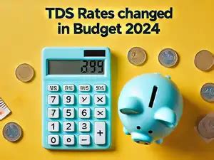 TDS rates reduced in Budget 2024: New tax deducted at source applicable ...