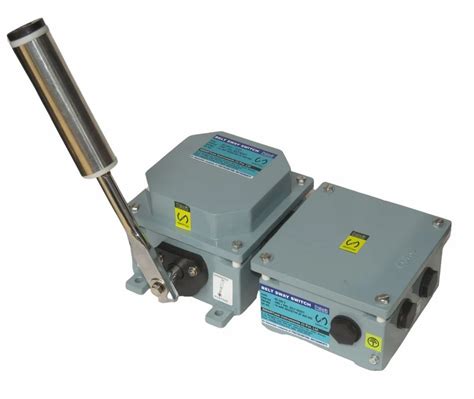 Safety Switch - Machine Guard Safety Switch Manufacturer from Pune