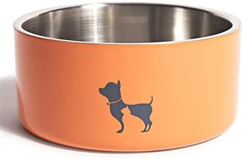 Buy Heads Up For Tails Quintessential Double-Walled Stainless Steel Pet ...