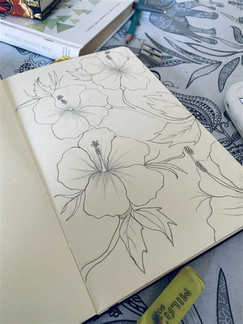 Flor De Cayena Dibujo