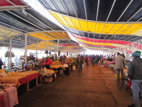 PANCHITO EL LOBO MARINO (2026) All You Need to Know BEFORE You Go (with ...