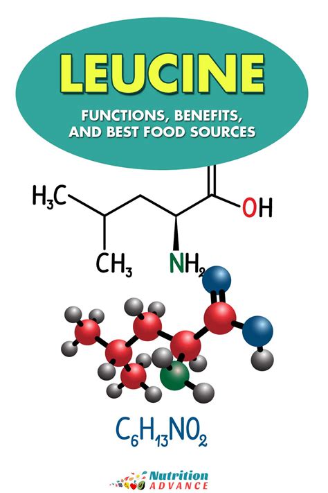 Leucine: Requirements, Benefits, and Food Sources - Nutrition Advance
