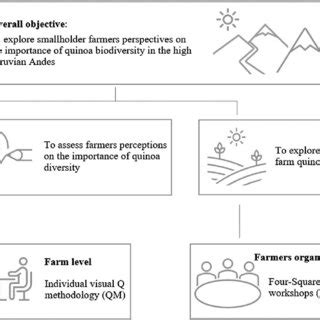 Image result for Key Focus Objectives Research Example
