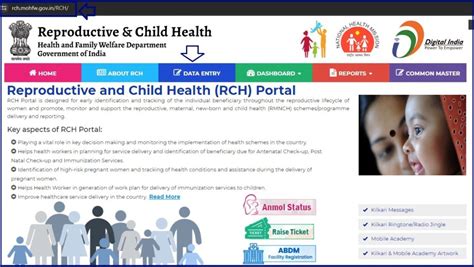 RCH Portal Data Entry 的图像结果