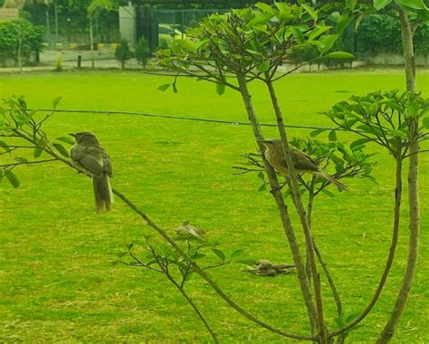 Residential Plot for Sale in Sector 22D, Greater Noida - by 360 Dreamworld