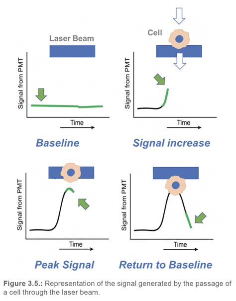 Image result for Cell Sorting Well Structure