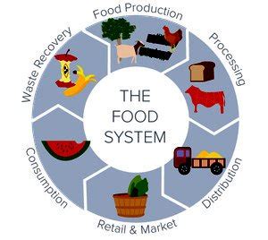 Basic Knowledge of Food Production 的图像结果