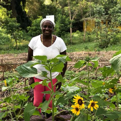 Ujima Natural Farmers Market (@ujimanaturalfarmersmarket) • Instagram ...